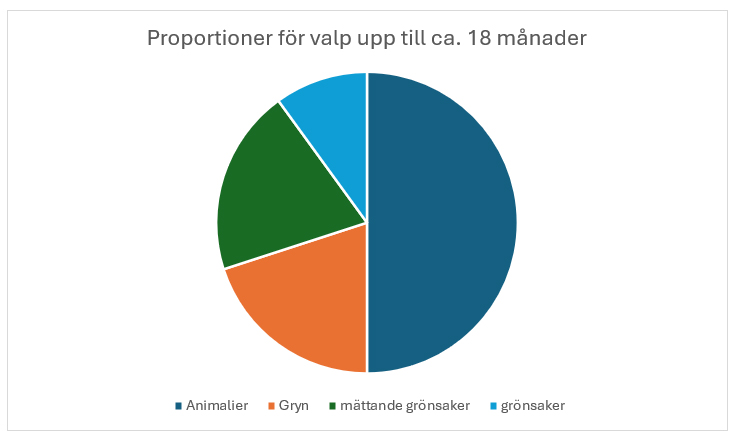 proportioner valp upp till 18 månader