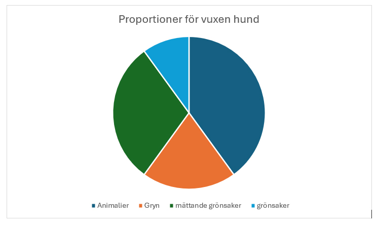 proportioner för vuxen hund